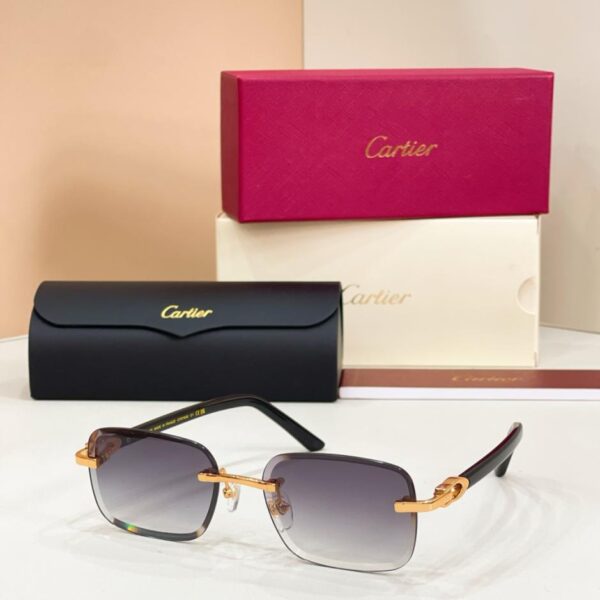 Cartier-Brille, Modell CT0785S (TCWK84)